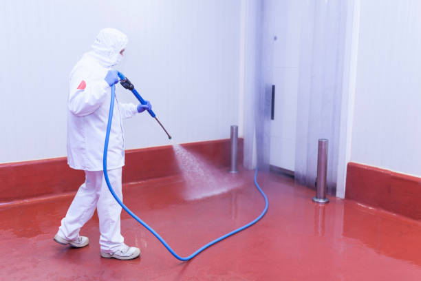 Best Playground Equipment Cleaning  in Mount Ivy, NY